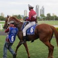 Gibbo’s Tips – Aquis Gold Coast Turf Club