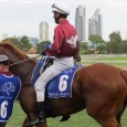 Gee we haven’t had much luck with the weather, more rain predicted. The GCTC will have selections up early this week. I will also be doing mounting yard stuff throughout […]