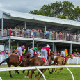 Spring in Cairns, what’s not to love. Days worth of functions and races in the Qld sun is as good as it gets! You can spoil your significant other with […]